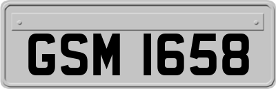 GSM1658