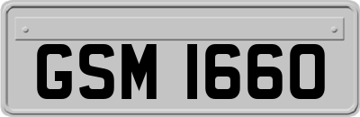 GSM1660