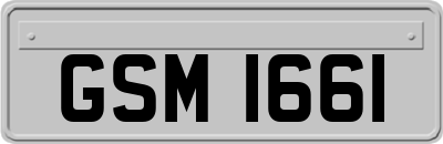 GSM1661