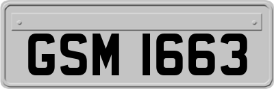 GSM1663