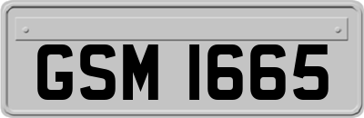 GSM1665