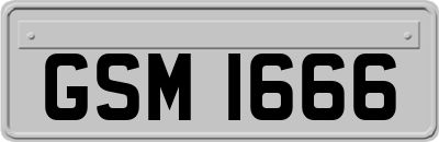 GSM1666