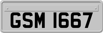GSM1667