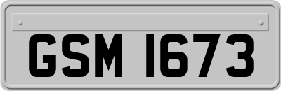 GSM1673