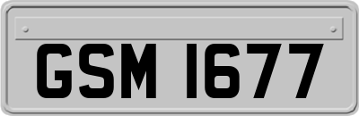 GSM1677