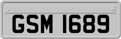 GSM1689