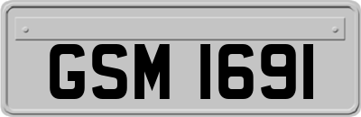 GSM1691