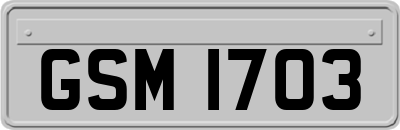 GSM1703