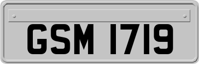 GSM1719