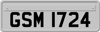 GSM1724