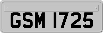 GSM1725