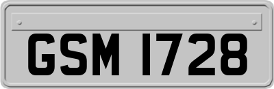 GSM1728