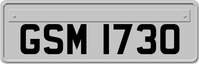 GSM1730
