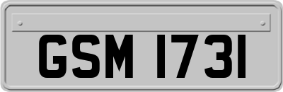 GSM1731