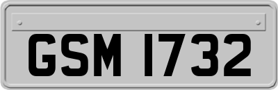 GSM1732