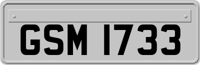 GSM1733