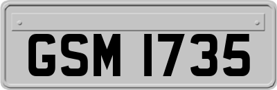 GSM1735