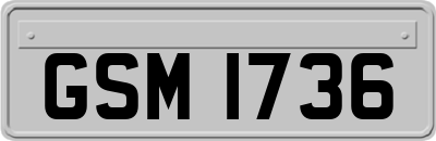GSM1736