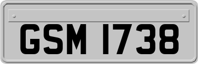 GSM1738