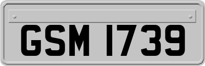 GSM1739