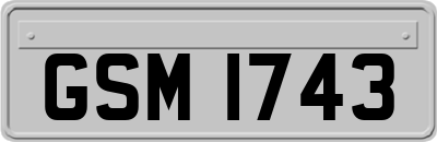 GSM1743