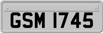 GSM1745