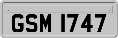 GSM1747