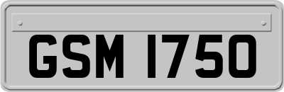 GSM1750