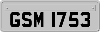 GSM1753