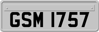 GSM1757