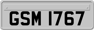 GSM1767