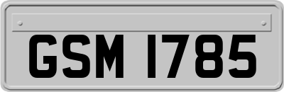 GSM1785