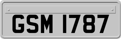 GSM1787