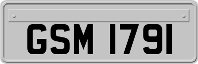 GSM1791
