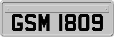GSM1809