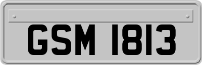 GSM1813