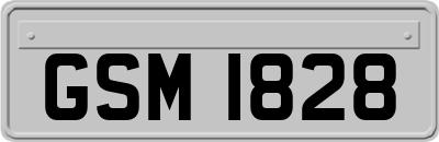 GSM1828