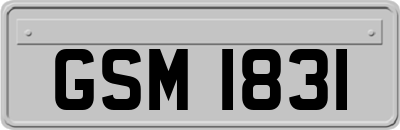 GSM1831
