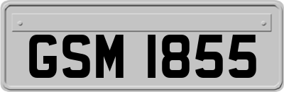 GSM1855