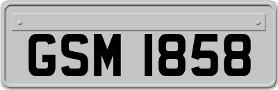 GSM1858
