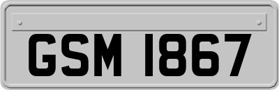 GSM1867