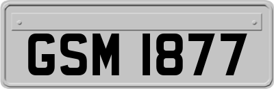 GSM1877