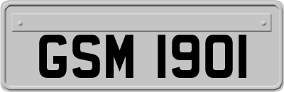 GSM1901