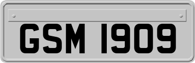 GSM1909