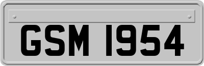 GSM1954