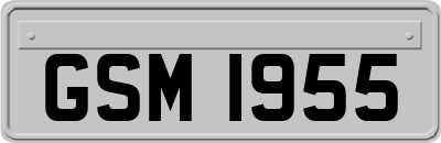 GSM1955