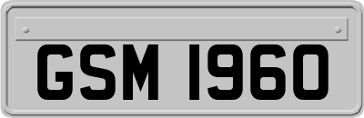 GSM1960