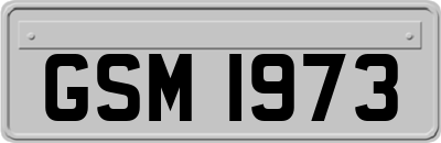 GSM1973