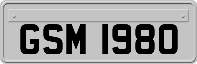GSM1980