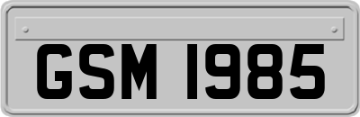 GSM1985
